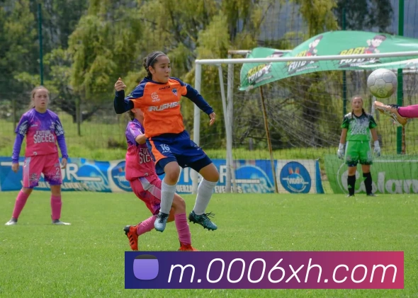 新濠天地线上官网服务体系